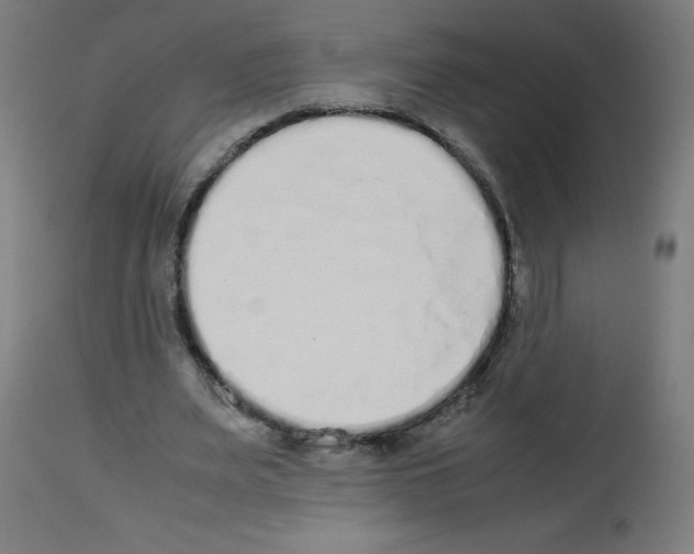 X0000113010487200910081226