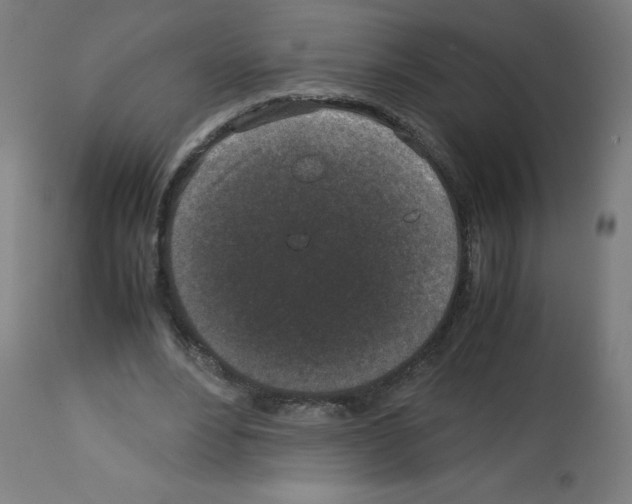 X0000113010488200910081226