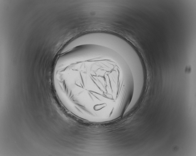 X0000113010489200910081226