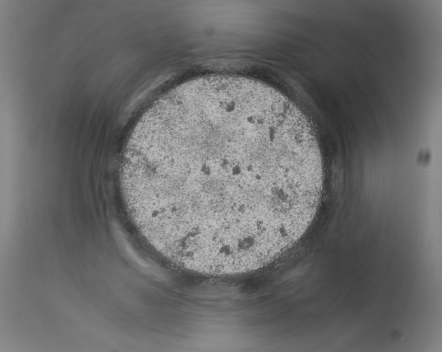 X0000113010491200910081226
