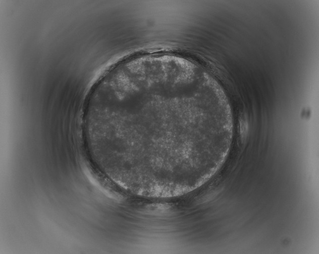 X0000113010492200910081226