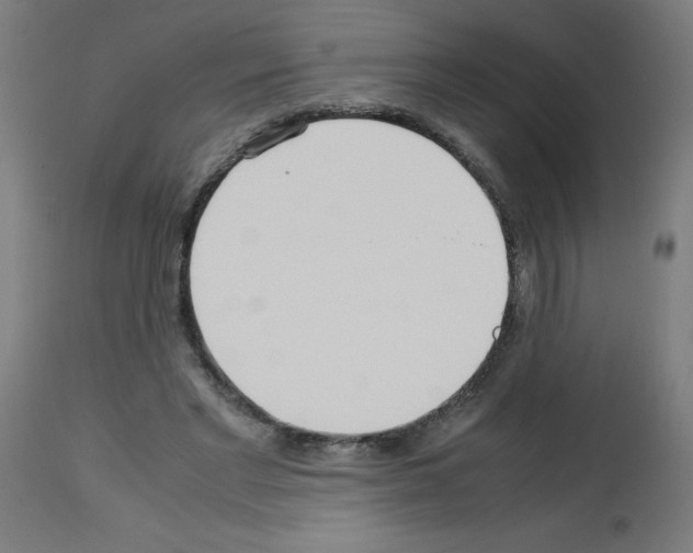 X0000113010493200910081226