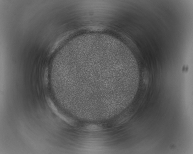 X0000113010494200910081226