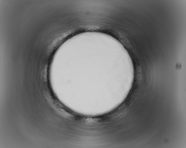 X0000113010495200910081226