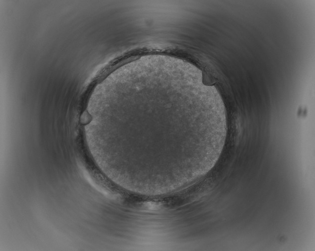 X0000113010496200910081226