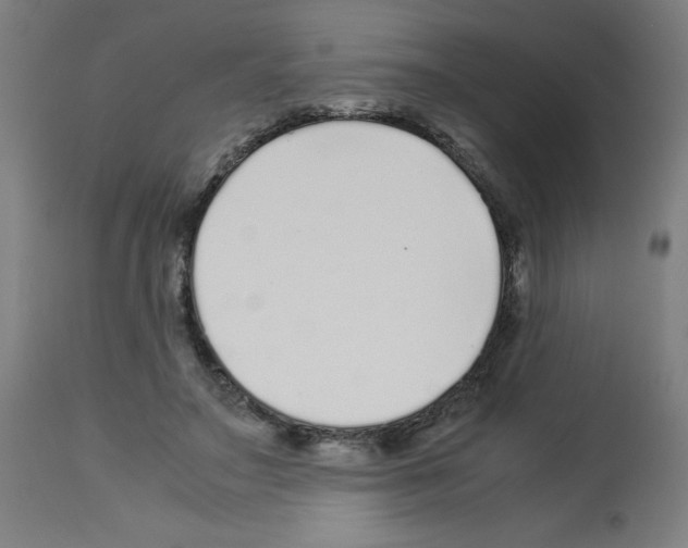 X0000113010499200910081226