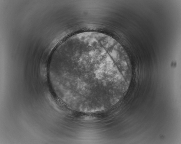 X0000113010500200910081226
