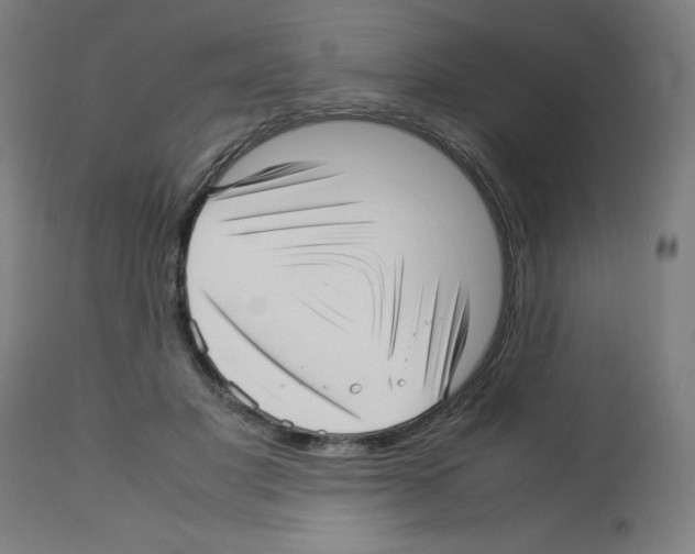 X0000113010501200910081226