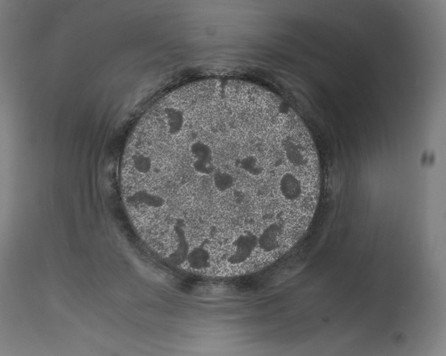 X0000113010503200910081226