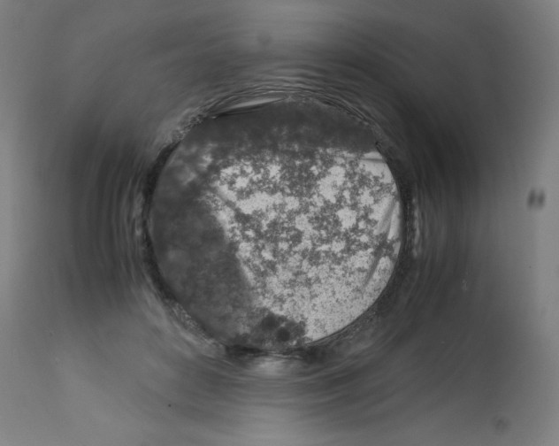 X0000113010504200910081226