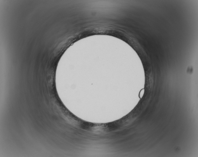 X0000113010505200910081226