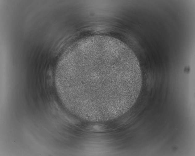 X0000113010506200910081226