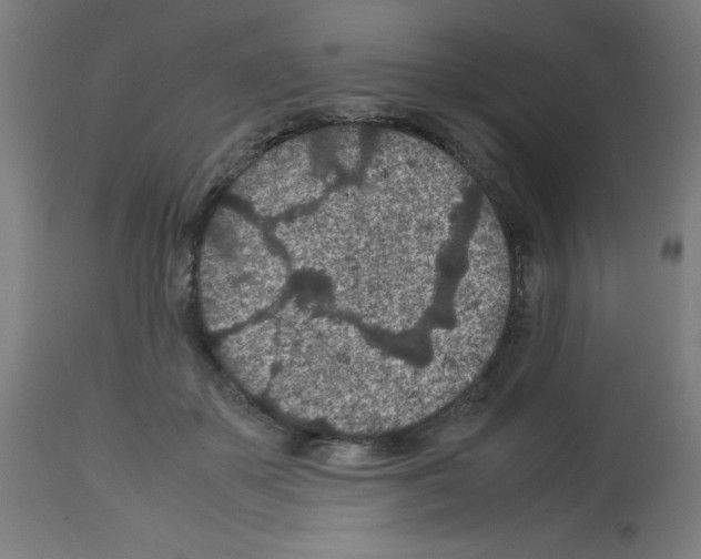 X0000113010507200910081226