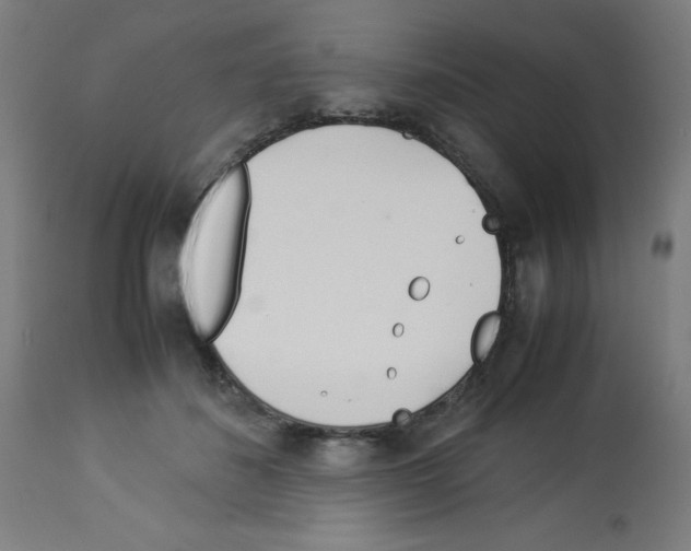 X0000113010508200910081226