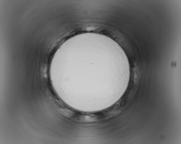 X0000113010510200910081226