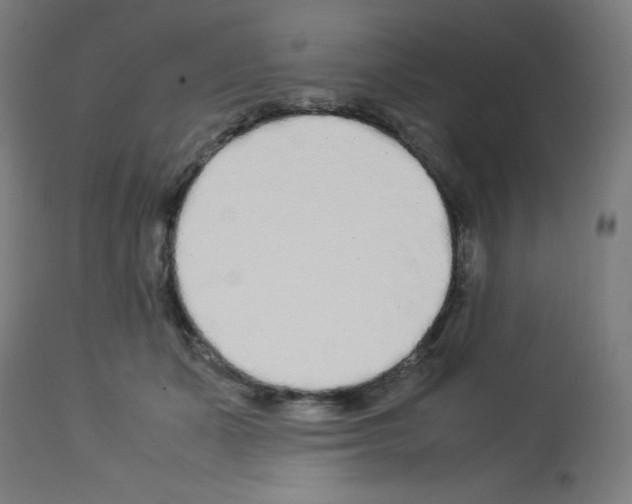 X0000113010511200910081226