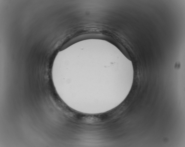 X0000113010512200910081226