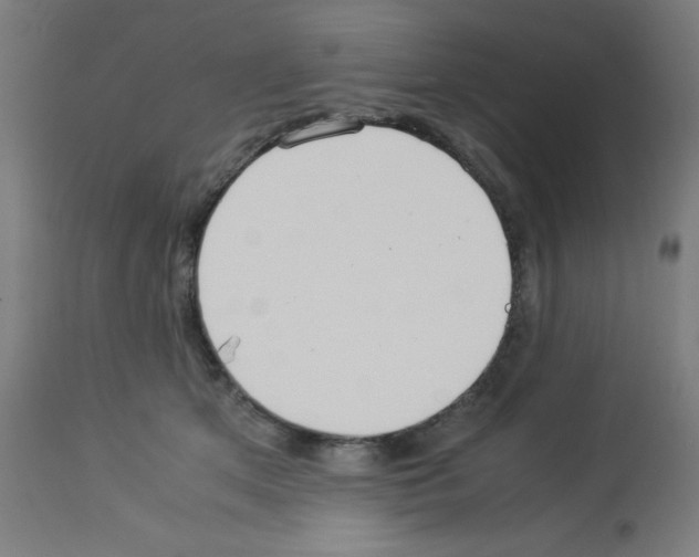 X0000113010513200910081226