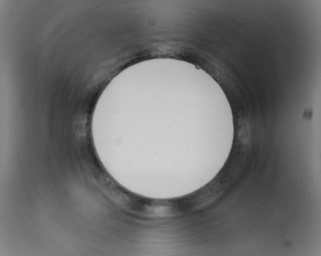 X0000113010514200910081226