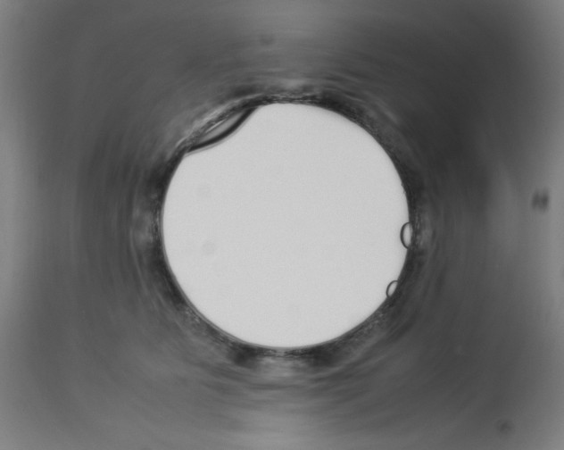 X0000113010515200910081226