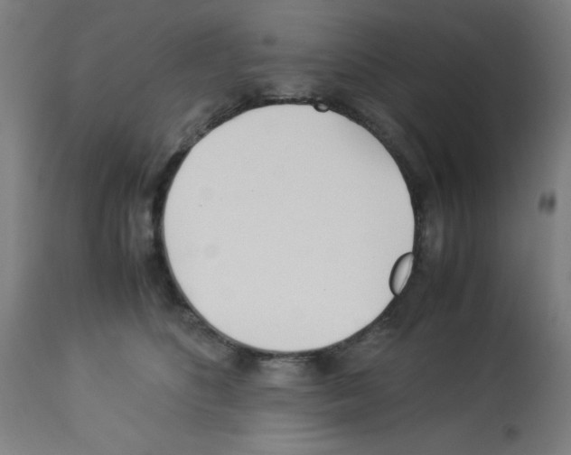 X0000113010516200910081226