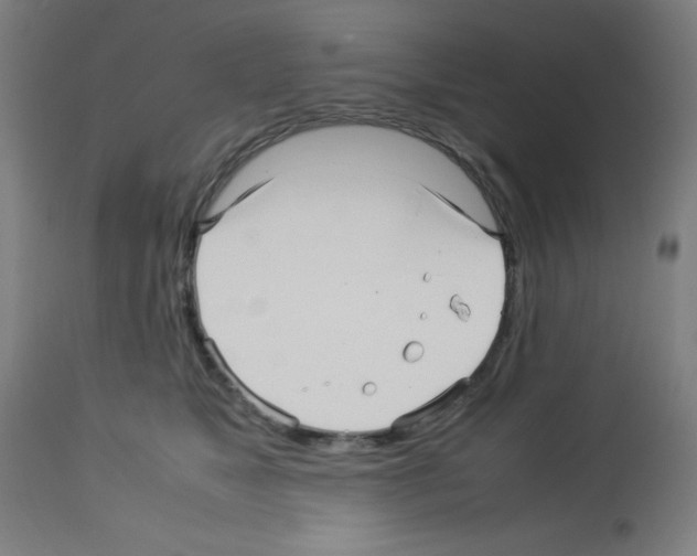 X0000113010517200910081225