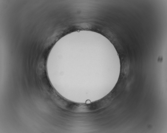 X0000113010518200910081225
