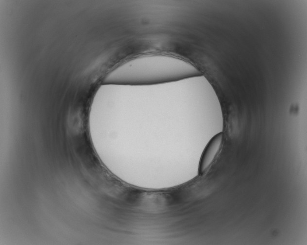 X0000113010520200910081225
