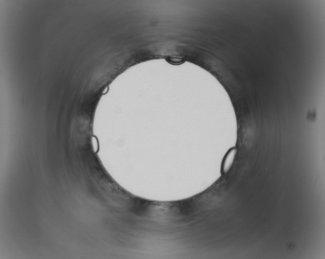 X0000113010521200910081225