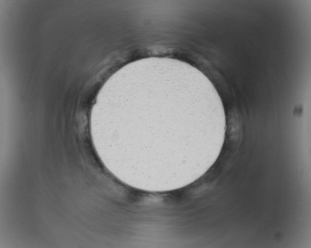 X0000113010523200910081225