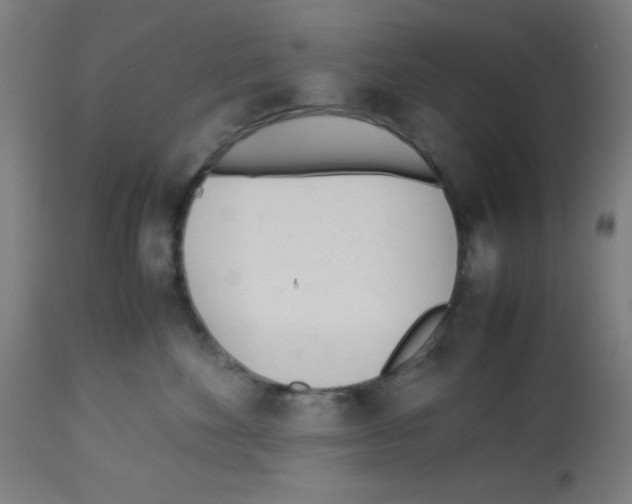 X0000113010524200910081225