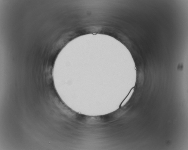 X0000113010525200910081225