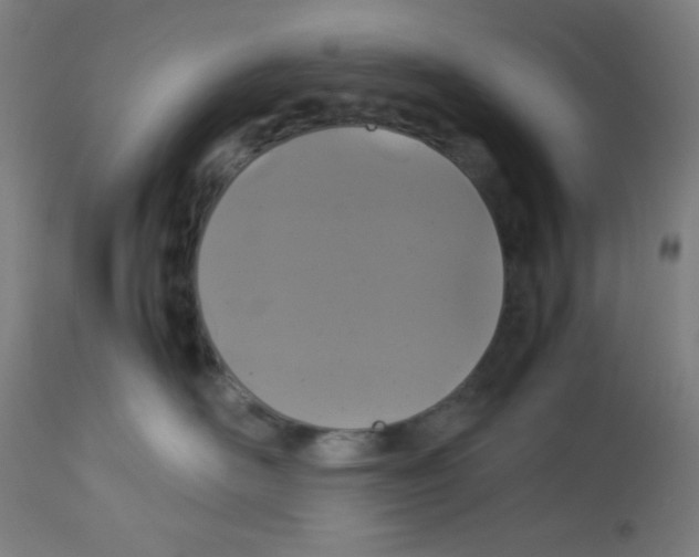 X0000113010526200910081225