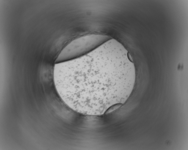 X0000113010528200910081225