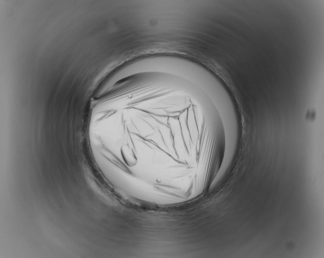 X0000113010530200910081224