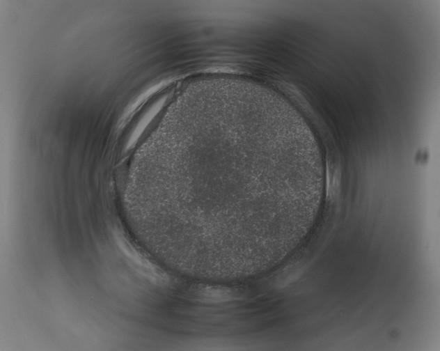 X0000113010531200910081224