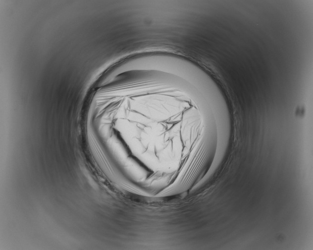 X0000113010532200910081224
