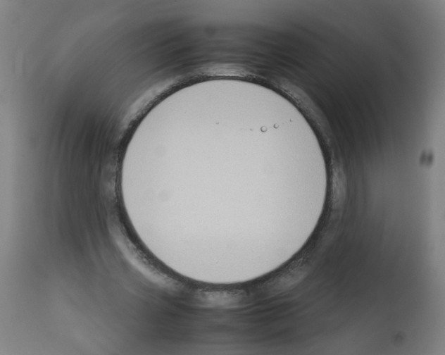 X0000113010533200910081224