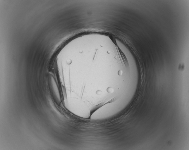 X0000113010534200910081224