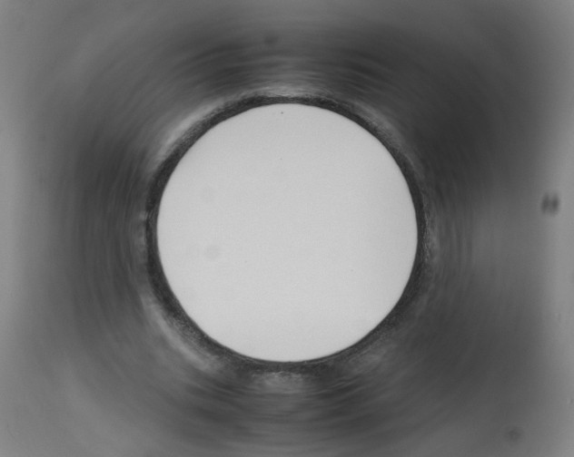 X0000113010535200910081225