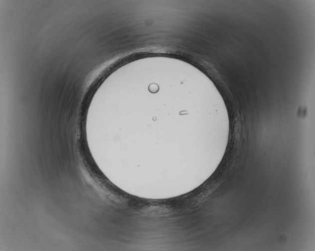 X0000113010536200910081225