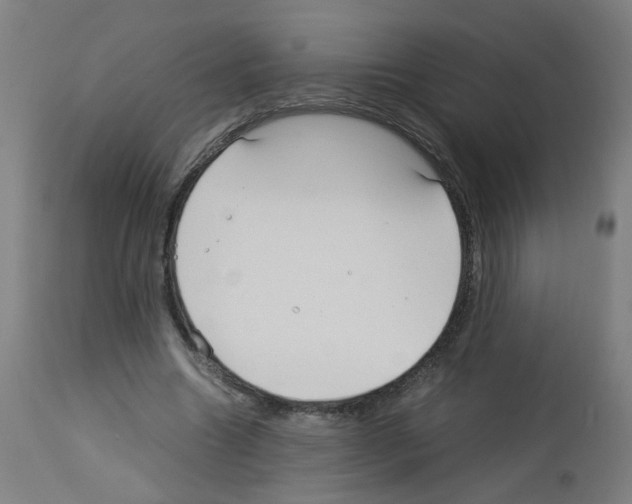 X0000113010538200910081225