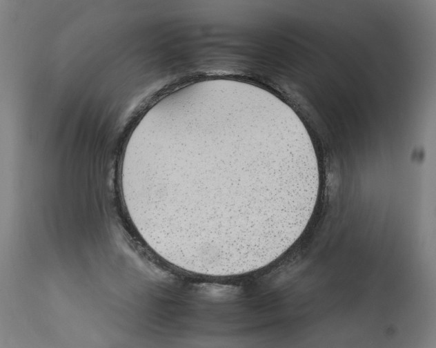 X0000113010539200910081225