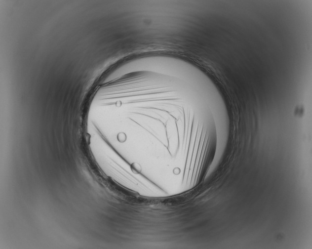 X0000113010540200910081225