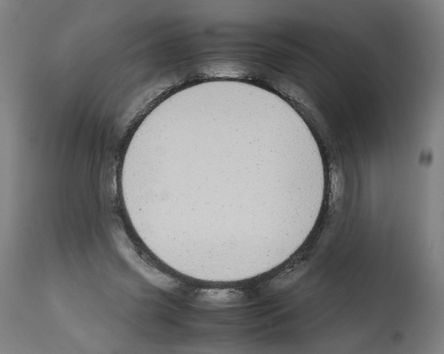X0000113010541200910081225