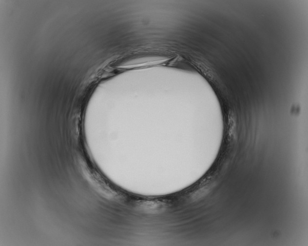 X0000113010542200910081225
