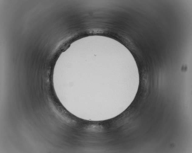 X0000113010543200910081225