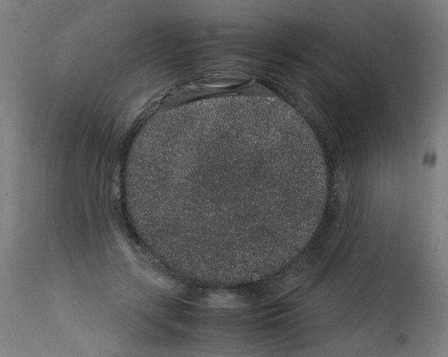 X0000113010547200910081225