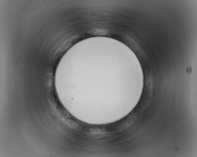 X0000113010549200910081225