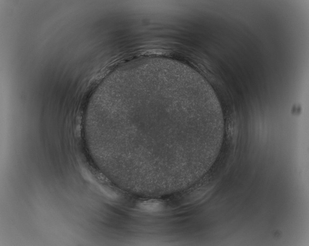 X0000113010551200910081225